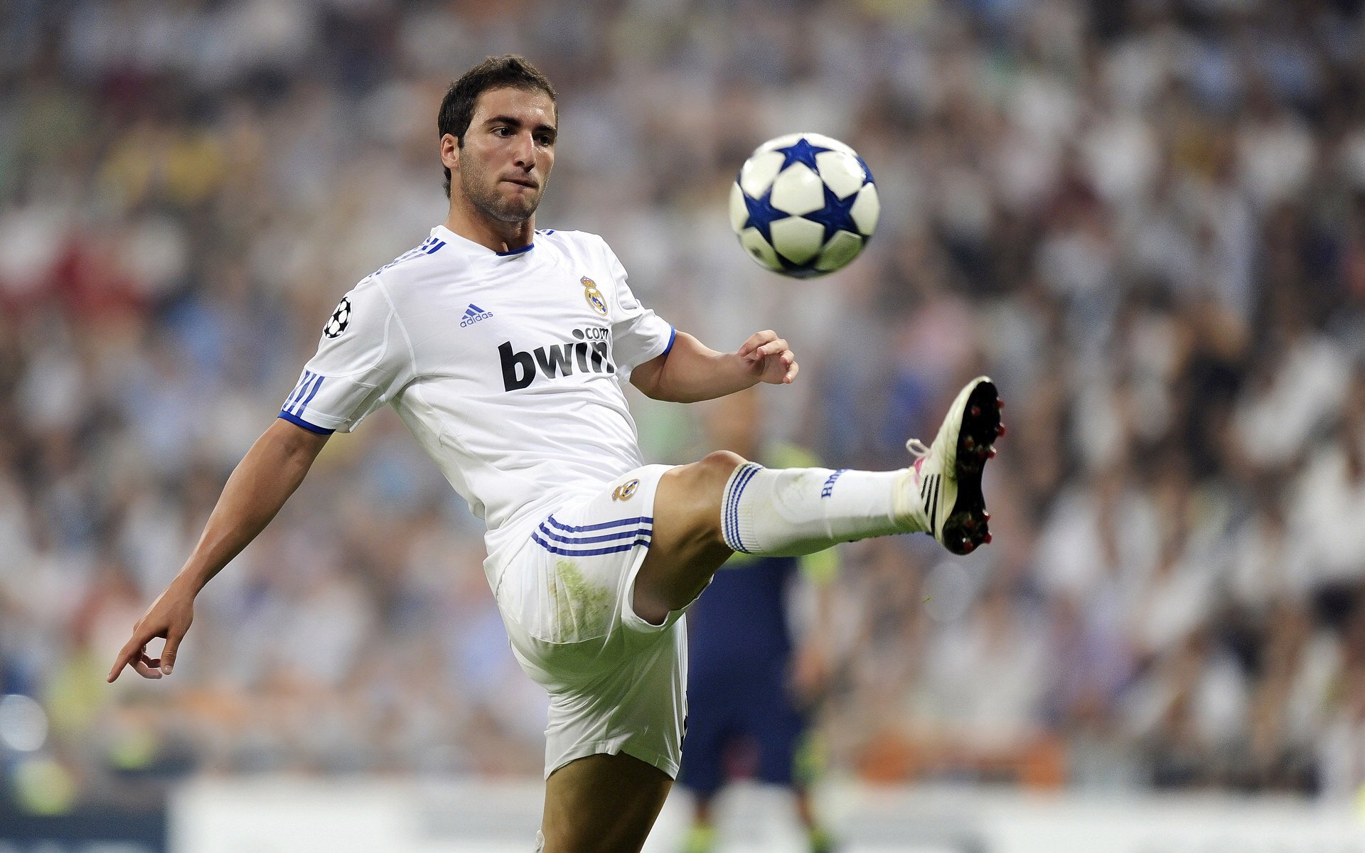 世界杯激情四溢:各大豪门逐鹿的豪华盛宴,世界杯锦集